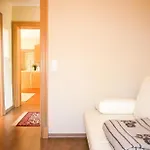 公寓 Haus Zu Den Bueschen 03 *